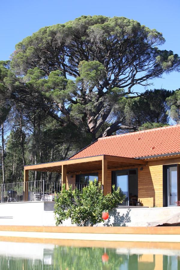 Casas Do Pinheiro Grande Villa Fornos de Algodres Exterior photo